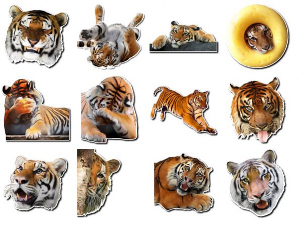 Стикеры Тигр